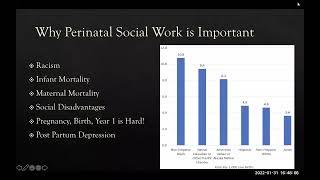 MSW 514 Lecture on Perinatal Social Work