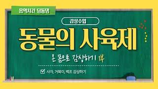 [온라인음악수업] 동물의 사육제! 온 몸으로 감상하기 1부 / 감상수업 / 3-4학년 감상수업/ 동물의 사육제/ 신체표현/ 통합수업/ 창체/작곡