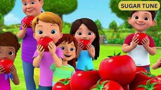 Tomato plant nursery rhyme Tomato Garden Nursery Rhyme with Fun Music Toddler Preschool Dance Music