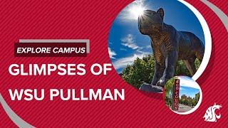 Glimpses of WSU Pullman