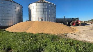 120,000lbs of Beans on The Ground. Mistakes Were Made.