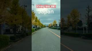 Japan Driving Time | Japan Driving 0001 #travel #japan #beautifulday #cardriving
