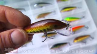 Rapala Scatter Countdown