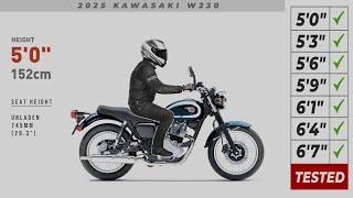 2025 Kawasaki W230