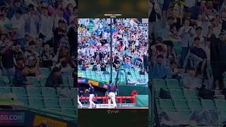 롯데자이언츠의 차기 에이스일지도 모릅니다