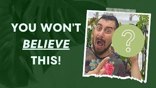 Unboxing  Rare Philodendrons & Anthuriums!  PLUS a Surprise You Can't Even Imagine! 