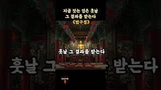 인생네컷 09│후회는 감정이 아니라, 지금의 판단이다 | #인생네컷 #후회 #법구경 #업보 #회향 #마음공부 #지혜로운삶 #자기이해 #불교쇼츠 #깨달음