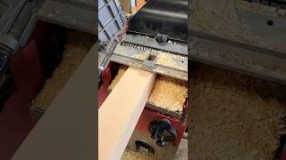 50m worth of Pine being run through the Lumberjack PT305