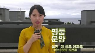 울진 더씨드명품 아파트