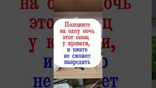 Положите на одну ночь этот овощ у кровати, и никто больше не сможет навредить