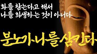 인간관계는 ‘이렇게'만 하라|분노와 억울함을 없애고 싶어요|즉문즉설모음 분노편|오래 살아봐야 인생을 알게 되고 위대한 분별력이 생긴다|불교|부처님말씀|석가모니|ASMR|법정