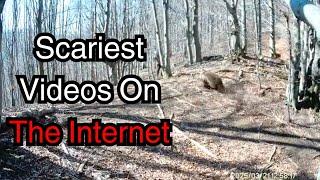 Scary Videos Caught On Camera That Will Leave You Shocked [Vol. 10]