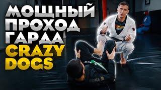 3 мощных прохода гарда Crazy dogs