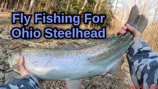 Fly fishing for Ohio steelhead (day 2) 2023