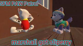 SFM PAW Patrol | Marshall got slipped (Evershall moment)