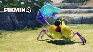 Tricking Pikmin enemies into eating bombs (Pikmin 4)