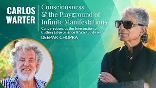 Consciousness and the Playground of Infinite Manifestations