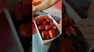 سیب صادراتی ایران  #هند#پاکستان#دبی#سیب#عراق#روسیهIran's export apples  #India#Pakistan#Dubai#Ap