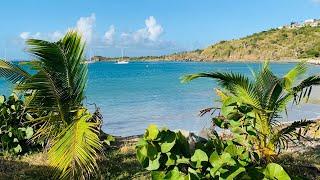 NEW‼️ FRIARS BAY BEACH Anse des Pères | Virtual Tour | Places to go in Saint Martin | Caracolabella