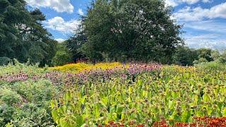 My visit to Kew Garden David Austin roses