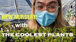 Shopping for Houseplants | NEW OC NURSERY!