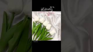 So realistic n in love with the tulips #meesho #meeshofinds #meeshohaul #meeshofinds #white