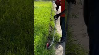 Lawn Edging #grass #overgrown #edging #mowing #landscaping