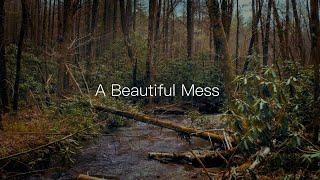 A Beautiful Mess - Improving Brook Trout Habitat in the Southeast