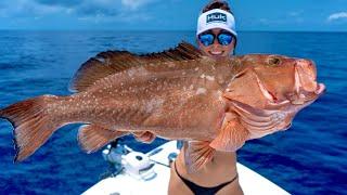 Gulf Grocery Haul | Red Grouper Galore | Floating Bucket of Gold (Mahi!)