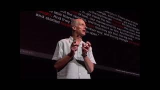 social & emotional processing  - amygdala