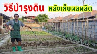 วิธีบำรุงดินหลังเก็บผลผลิต | ผักปลอดสารพิษบ้านน้องปลายฝน