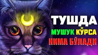 ТУШДА МУШУК КЎРИШ ХАТАРИ БИЛИБ ОЛИНГ!  #muftiy #namoz #zikr #salovat #mushuk