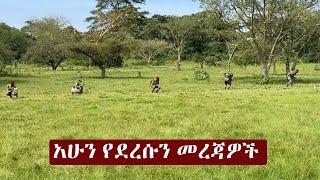 Ethiopia አሁን የደረሰን መረጃ | The Ethiopia News Now Ethiopia News October 30, 2024 | The Ethiopia Channel