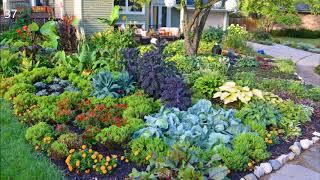 Vegetable garden Potager design Ideas