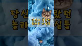 당신이 몰랐던 놀라운 사실들 #knowledge #재미있는  #상식  #지식 #흥미로운 #사실