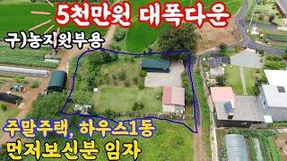 (22-61)5천만원파격다운308평농막과하우스공짜,먼저보신분임자#밀양토지매매#밀양땅매매#밀양주말농장매매