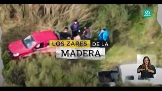 Los zares de la madera: La impactante organización criminal para ejecutar sus robos