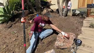 Creating a Succulent Oasis in Carlsbad!