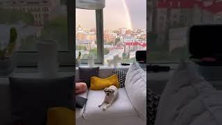 Всем доброго утра и хорошего дня! Помни! После дождя радуга всегда! #appolonovgang #музыка #хит