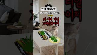 어둠의 대장금