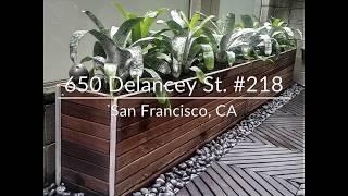 650 Delancey 218   Flash Card Video