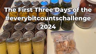 Here We Go!!! | 2024 #everybitcountschallenge | First Three Days