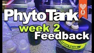 Coralust Week Two Feedback with the Poseidon Phyto Tank second culture and feeding corals with it