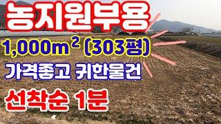 (102번)303평농지원부용가격좋고면적좋아#밀양토지매매#밀양땅매매#밀양부동산매매