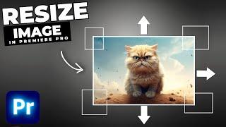 How To Resize Images Automatically In Premiere Pro