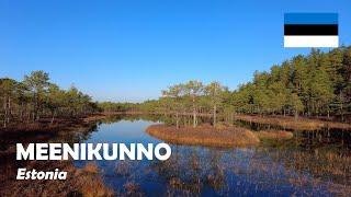 Meenikunno, Estonia. Relaxing walk in bog. 4K