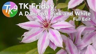 TK FRIDAY (A Dance Of Pink and White) FULL EDIT