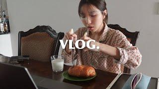 vlog. 취준생 브이로그, 집공하고 카공하고 편집하는 일상 | 간단한 오오티디도.. | 신사동 키크니 전시회 | 두피 케어 (아모스프로페셔널, 려, 네이처리퍼블릭, 볼빅)