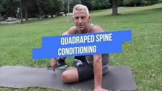 Quadraped Spine Conditioning