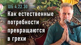 2024-06-09 - ШБ 4.22.30 - Как естественные потребности превращаются в грехи